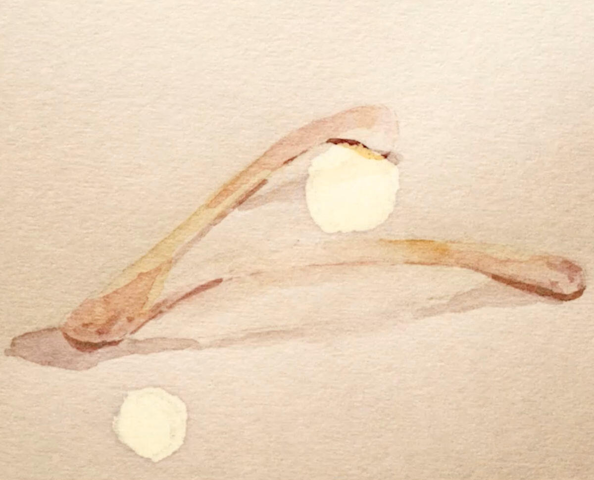 Fragments (Work-in-Progress)